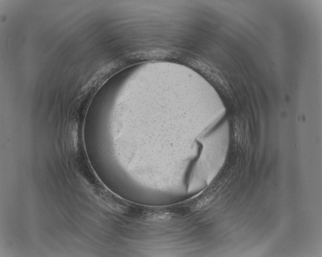 X0000074210206200609151604