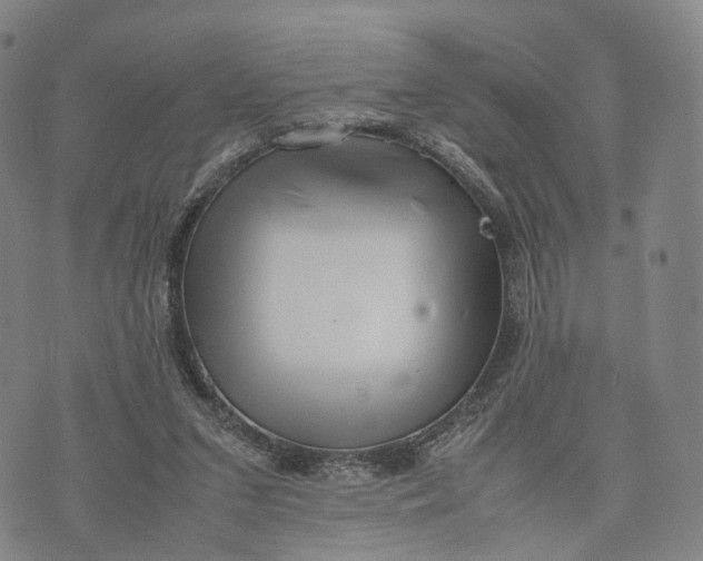 X0000074210207200609151604