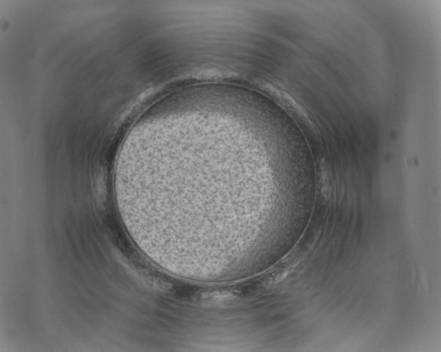 X0000074210208200609151604