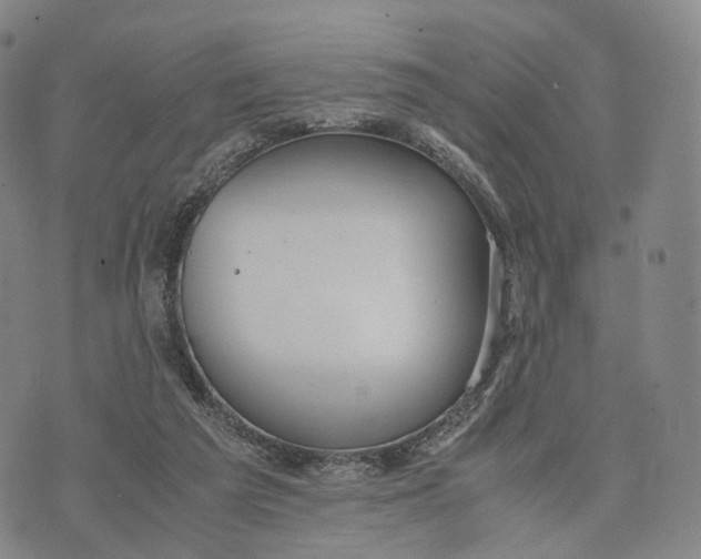 X0000074210209200609151604