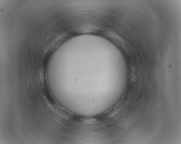 X0000074210210200609151604