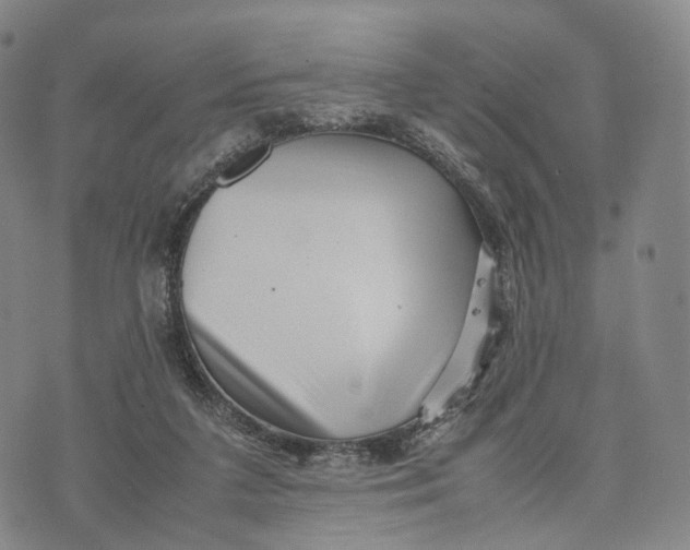 X0000074210211200609151604