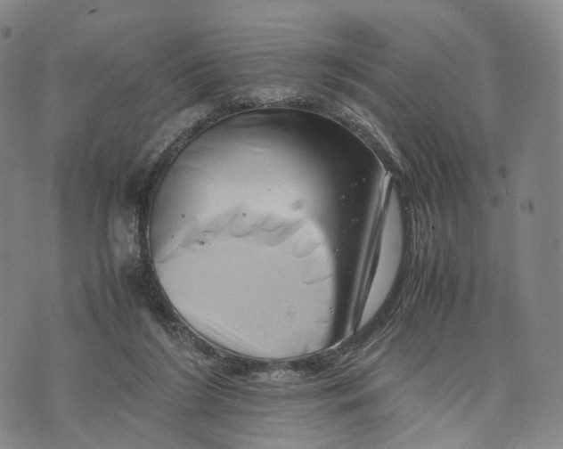 X0000074210212200609151604