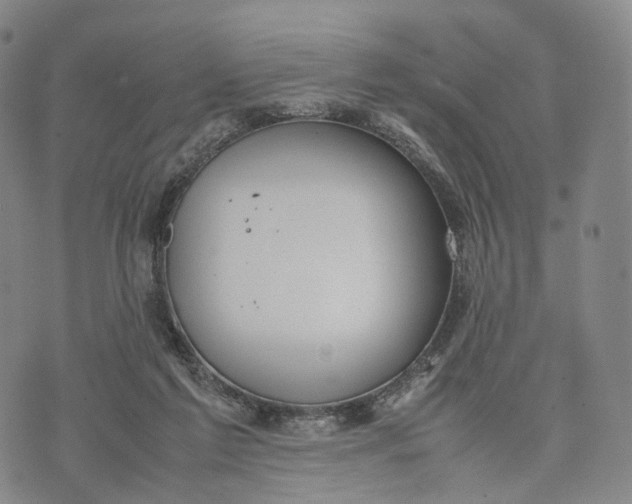 X0000074210213200609151604