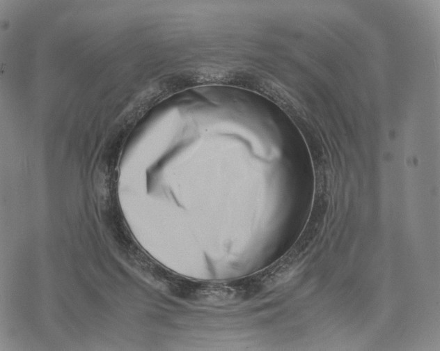 X0000074210215200609151604