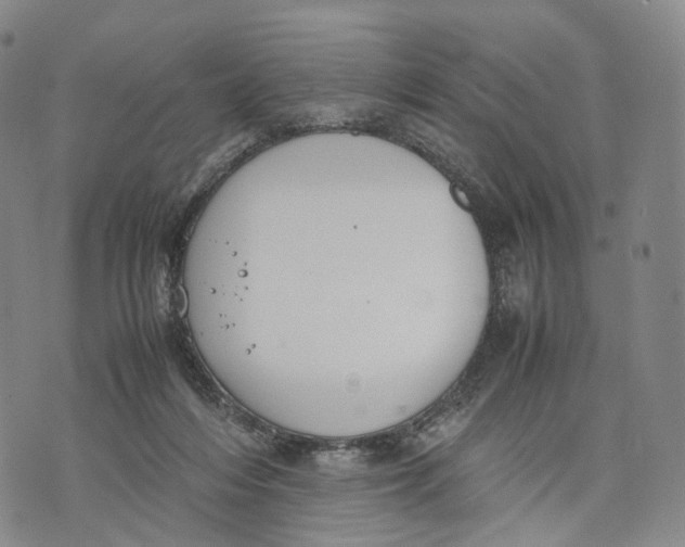 X0000074210216200609151604