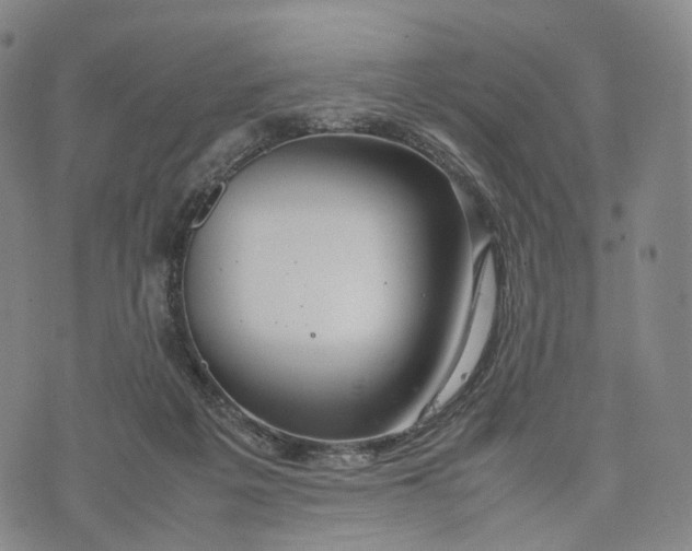 X0000074210217200609151604