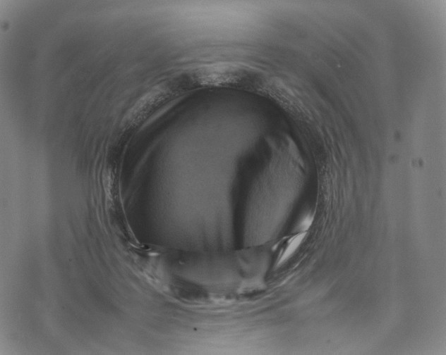 X0000074210219200609151604