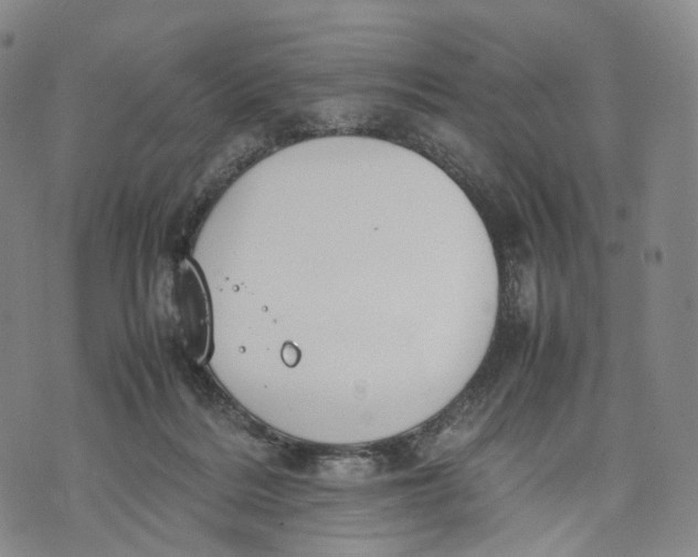 X0000074210220200609151604