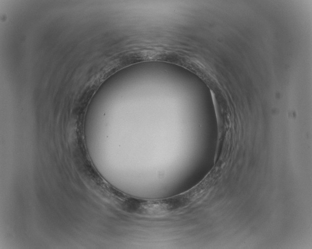 X0000074210221200609151604