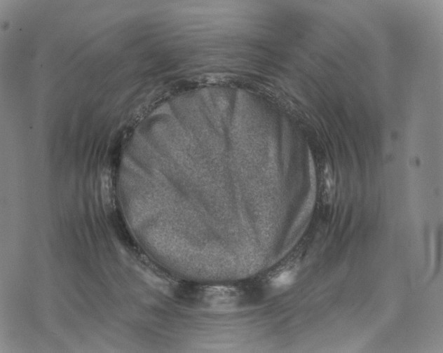 X0000074210222200609151604