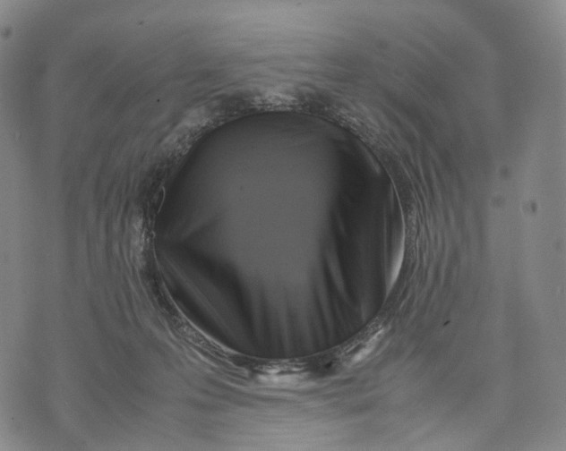 X0000074210223200609151604