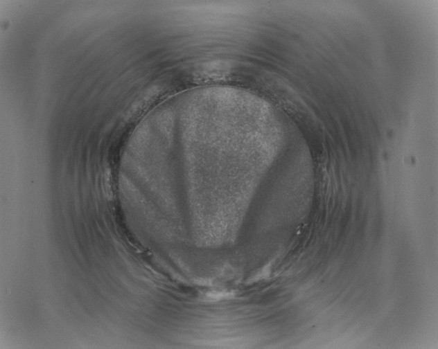 X0000074210224200609151604