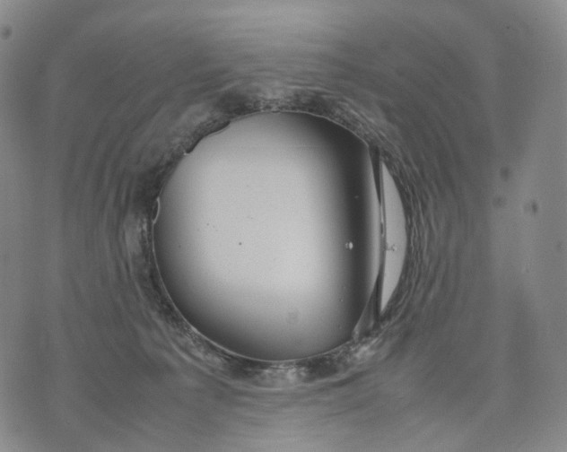 X0000074210225200609151604