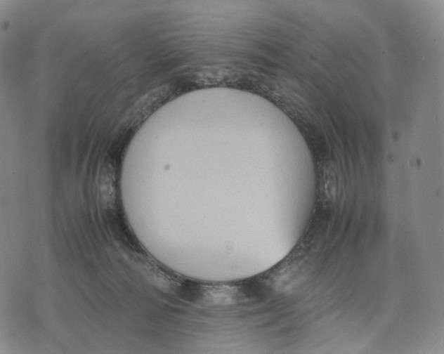 X0000074210226200609151604