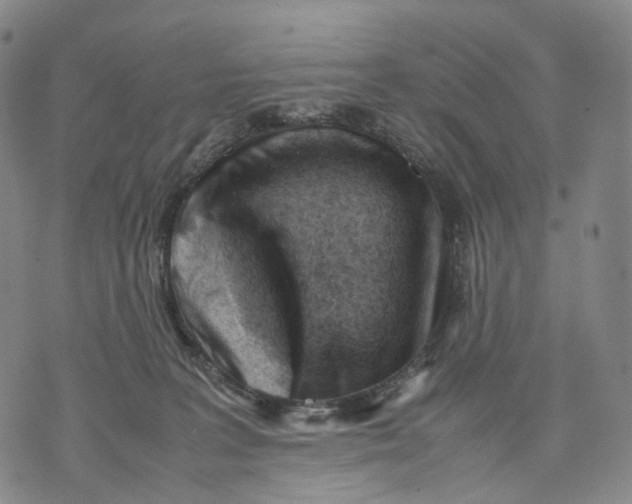 X0000074210227200609151604