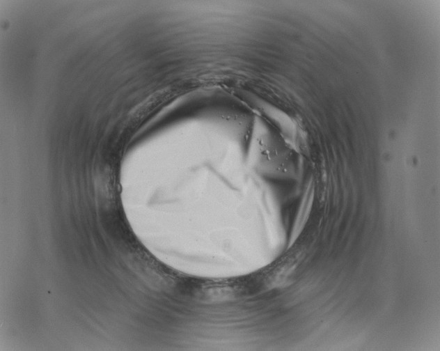 X0000074210228200609151604