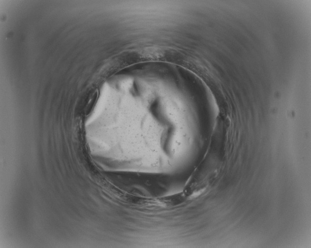 X0000074210229200609151604