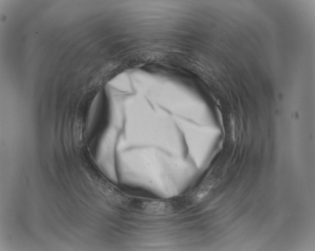 X0000074210230200609151604