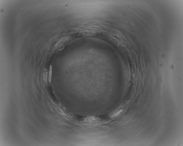 X0000074210231200609151604