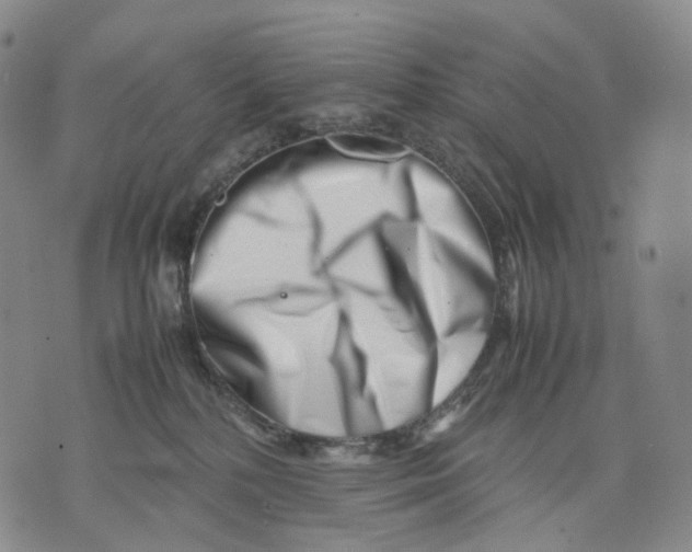 X0000074210232200609151604