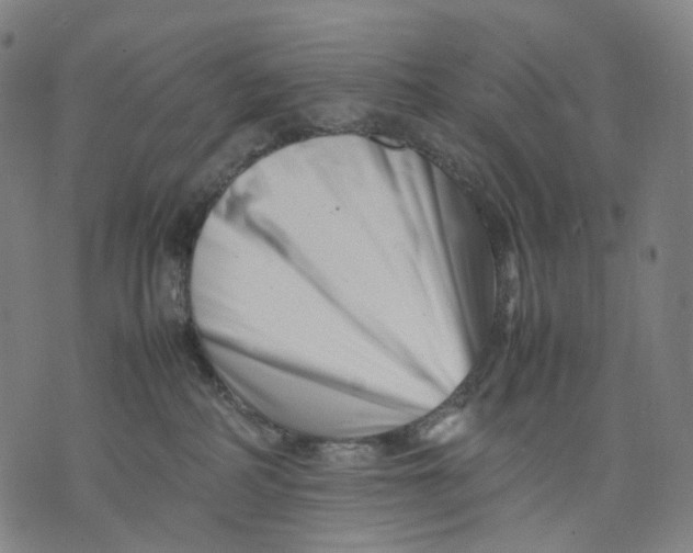 X0000074210234200609151604