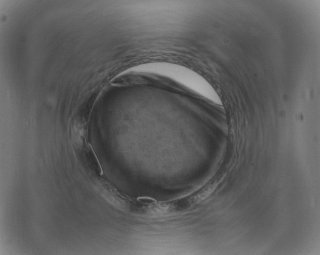 X0000074210235200609151604