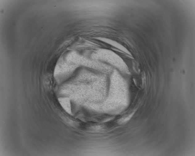 X0000074210237200609151604