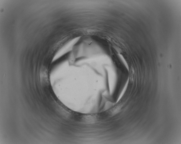 X0000074210238200609151604