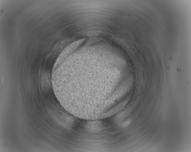 X0000074210240200609151604