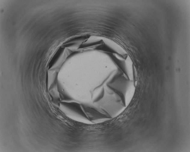 X0000074210241200609151603