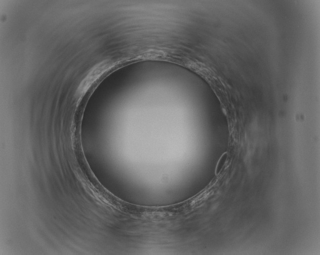 X0000074210242200609151603