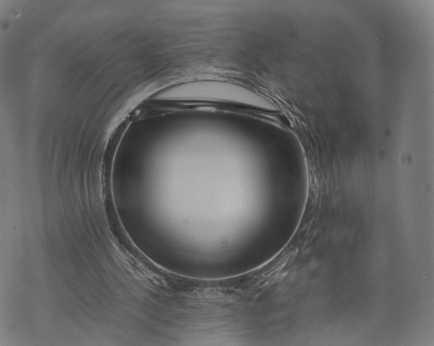 X0000074210244200609151603