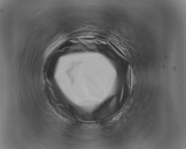 X0000074210245200609151603