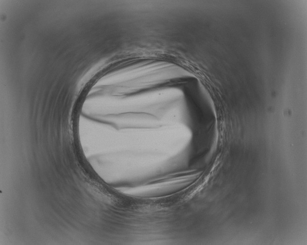 X0000074210246200609151603