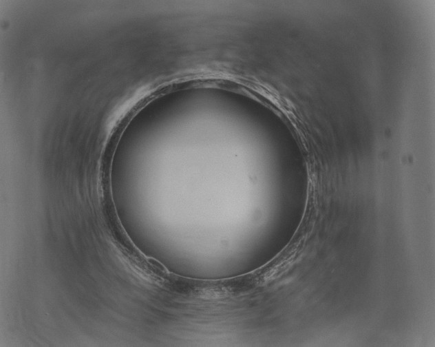 X0000074210248200609151603