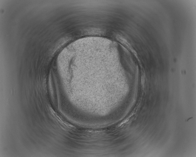 X0000074210249200609151603