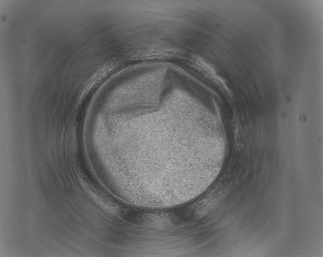 X0000074210250200609151603