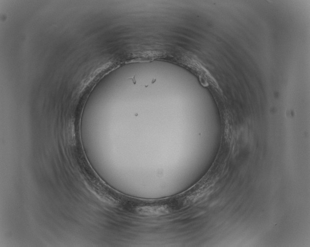 X0000074210251200609151603