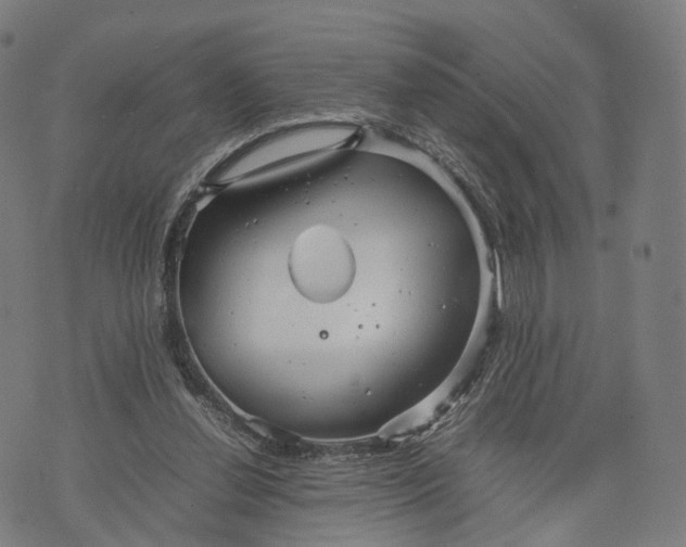 X0000074210252200609151603