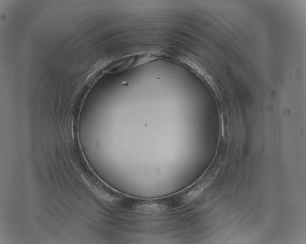 X0000074210253200609151603