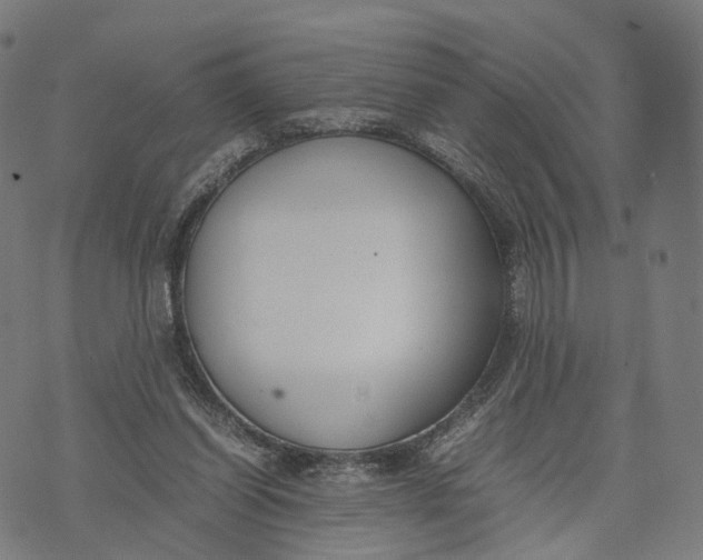 X0000074210254200609151603