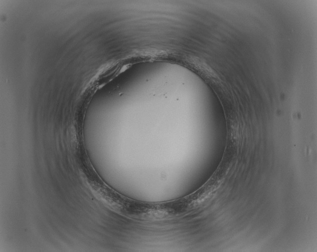 X0000074210256200609151603