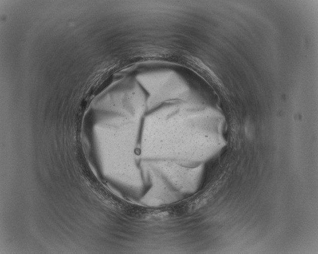 X0000074210257200609151603