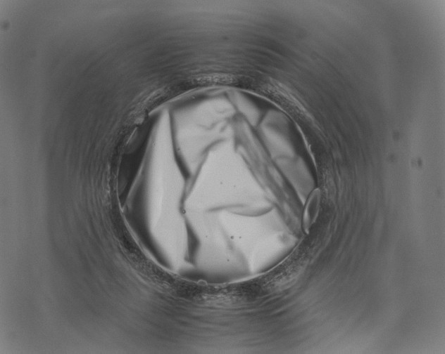 X0000074210259200609151603