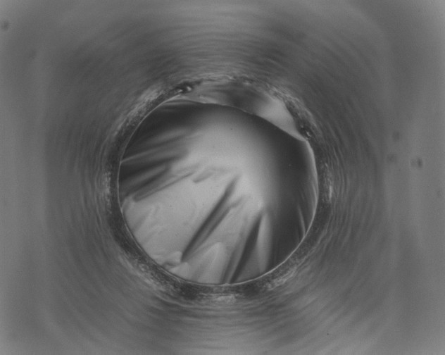 X0000074210260200609151603