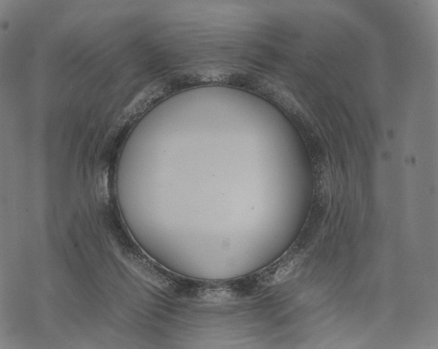 X0000074210262200609151603