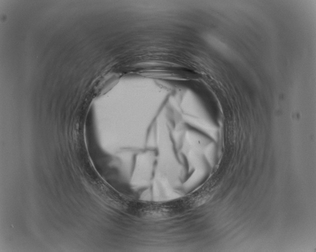 X0000074210263200609151603