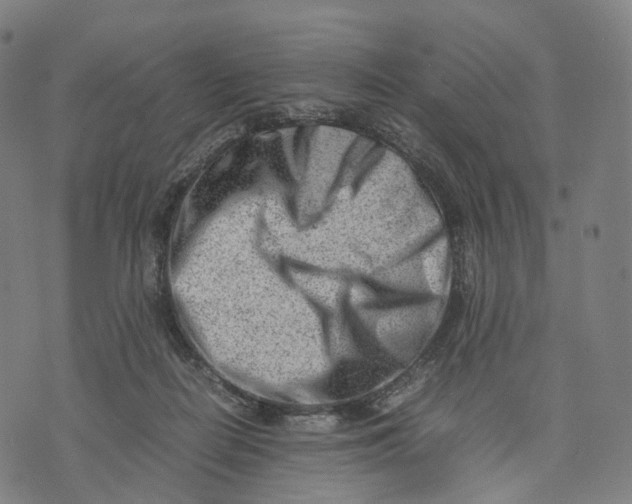 X0000074210266200609151603