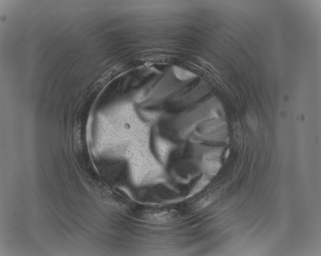 X0000074210267200609151604